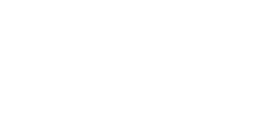 Asia Pacific Investment Bank