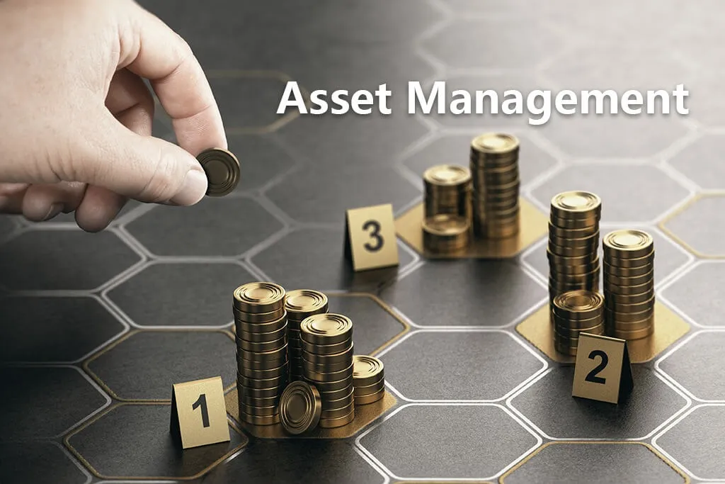 Asset Management